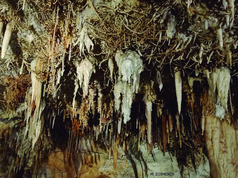 karrantza3 karrantza3