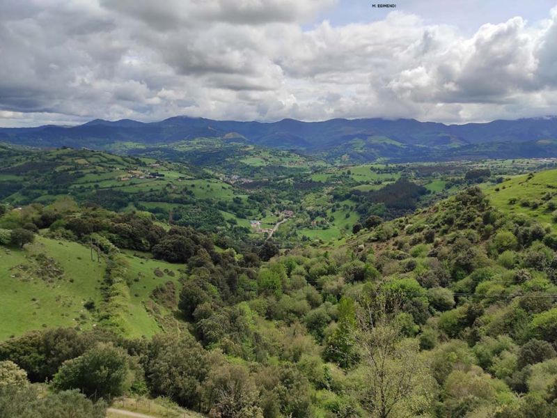 karrantza4 karrantza4