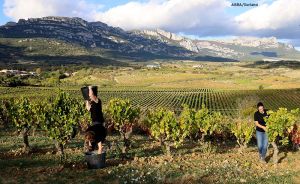 arabako mahastiak arabako mahastiak