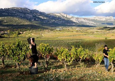 Upategi txikien kezka