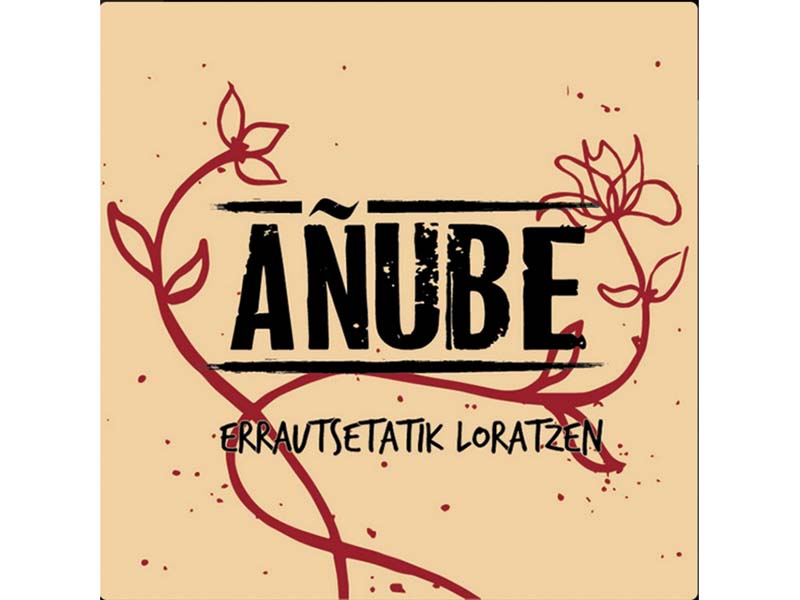 491anube