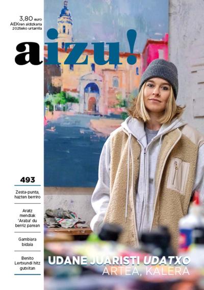 493azalah